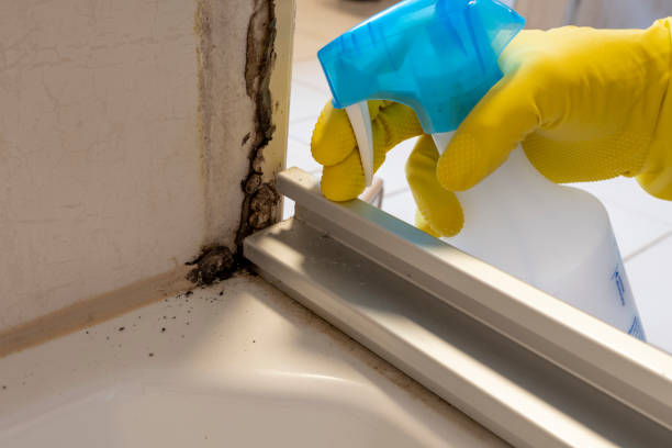 Home Mold Removal in Sullivans Island, SC