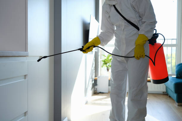 Best Commercial Mold Removal  in Sullivans Island, SC