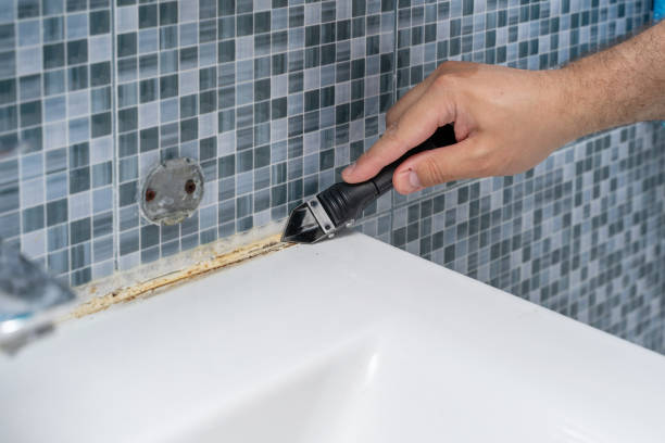 Best Black Mold Removal  in Sullivans Island, SC